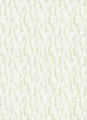 Фото Erismann Darling 6483-07