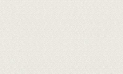 Фото Rasch Maximum XI 926002