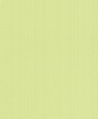 Фото Rasch Fresh Up 2015 491876