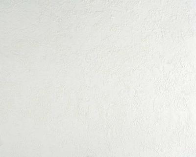 Фото A.S.Creation Meistervlies Pro 2 167514