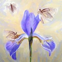 Ирис и бабочки