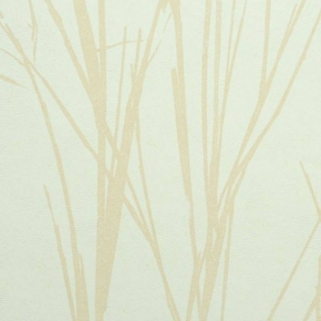 Фото BN International Authentique 45763