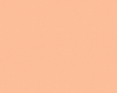 Фото A.S.Creation Esprit 12 32766-2