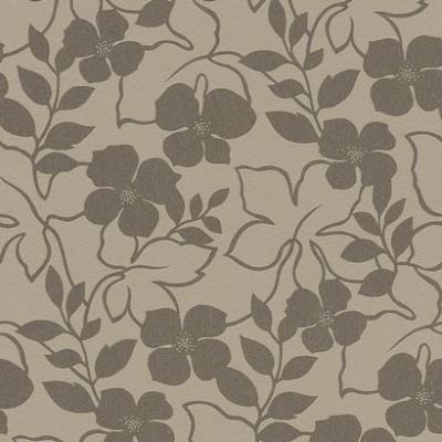 Rasch Plaisir 2014 721300