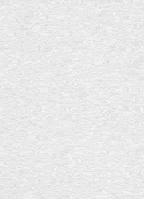 Фото Erismann RollOver 3921-01 (3921-10)