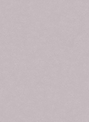 Фото Erismann City Glam 5958-38