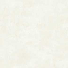 Фото BN International Porcellano BN 47062