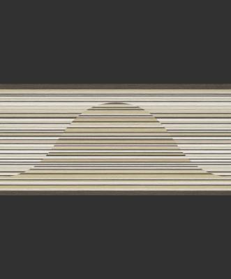 Rasch Perfecto 2014 498004