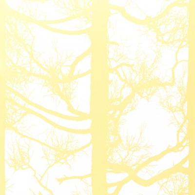 Фото Sandud Vallila 4985-3