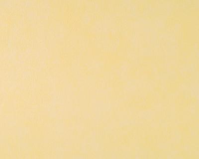 Фото A.S.Creation Styleguide Jung 523938