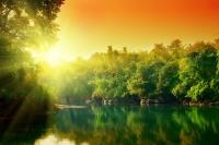 Закат над лесом