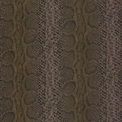 Rasch African Queen 2014 423143