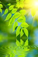 Водяные разводы