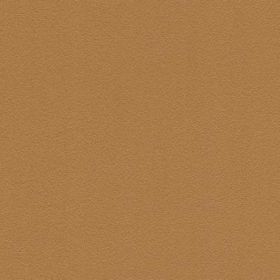 Фото Rasch Kids' Club 2014 469066