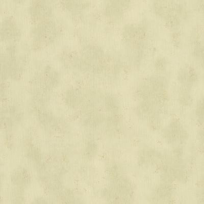 Фото A.S.Creation Triumph 30360-1