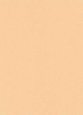 Фото Erismann My Garden 6486-04