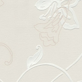 Фото BN International Jolly 46665