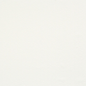 Фото BN International Motion 46651