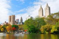 Зеленые парки в современном городе