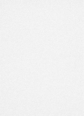 Фото Erismann Robusto Vol.2 3901-01