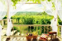 Вид на виноградник