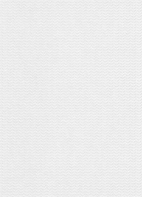 Фото Erismann RollOver 5387-10 (5387-01)