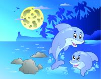 Дельфины ночью