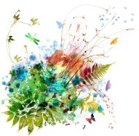 Трава и листья