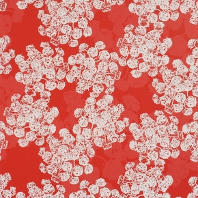 Фото BN International Motion 46632