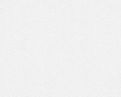 A.S.Creation Meistervlies Protect 2 245816