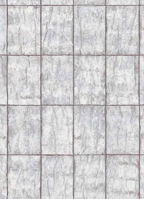 Фото Erismann Natural Silence 5282-43