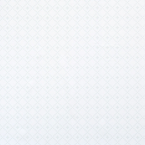 Фото BN International Studio Ditte 48001