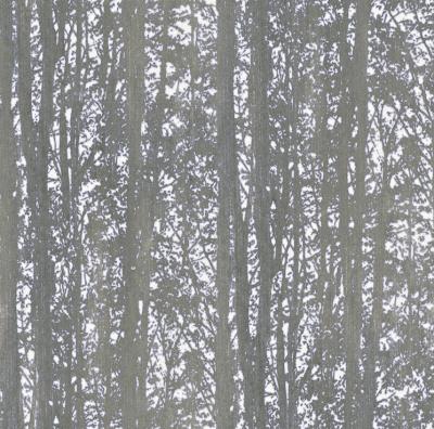 Фото Rasch Freja 897906