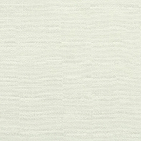 Фото BN International Glamour 43000