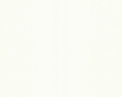 Фото A.S.Creation Best of Vlies 2012 123817