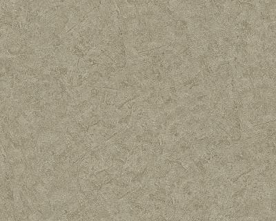 Фото A.S.Creation Titanium 3153-97