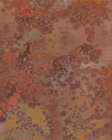 Komar V4-746 (Patina)