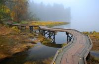 Туман над озером