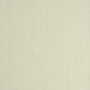 Фото BN International Organza 45209