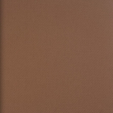 Фото BN International Mart Visser 48255