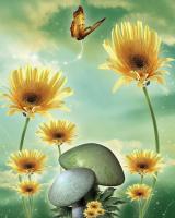 Бабочка над цветами