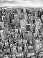 Komar XXL2-021 (Uptown)