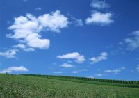 Облака над полем