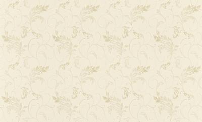 Фото Rasch Maximum XI 927306