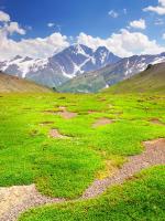 Горы и поляна