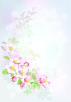 Цветущая ветка