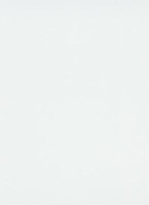 Фото Erismann Fashion For Walls 106 12035-01 (10004-01)