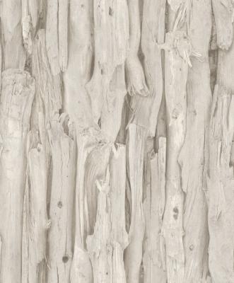 Фото Rasch African Queen 2 473209