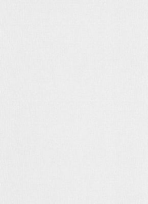 Фото Erismann RollOver 3922-01 (3922-10)