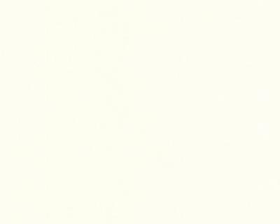 Фото A.S.Creation Best of Vlies 2012 174031